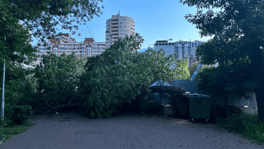 Дерево упало на коляску с ребенком в Самаре