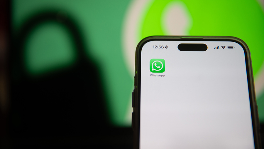 РКН призвал доверять официальным данным о якобы возможной блокировке WhatsApp