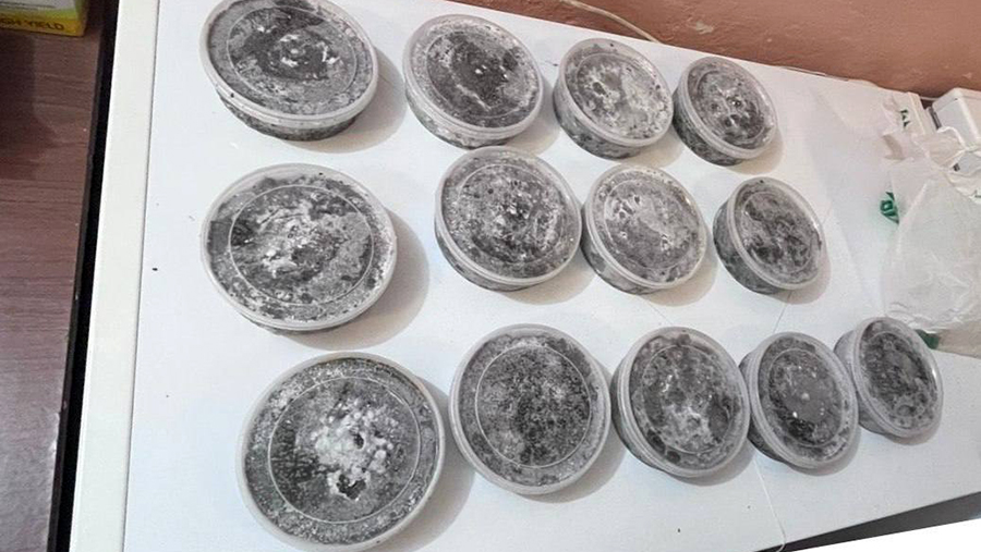 В Хабаровском крае задержали добытчика 700 кг краснокнижной рыбы и 7 кг икры В Хабаровском крае задержали добытчика 700 кг краснокнижной рыбы и 7 кг икры