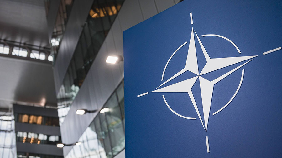 Трамп заявил об исполнении всех его желаний лидерами НАТО