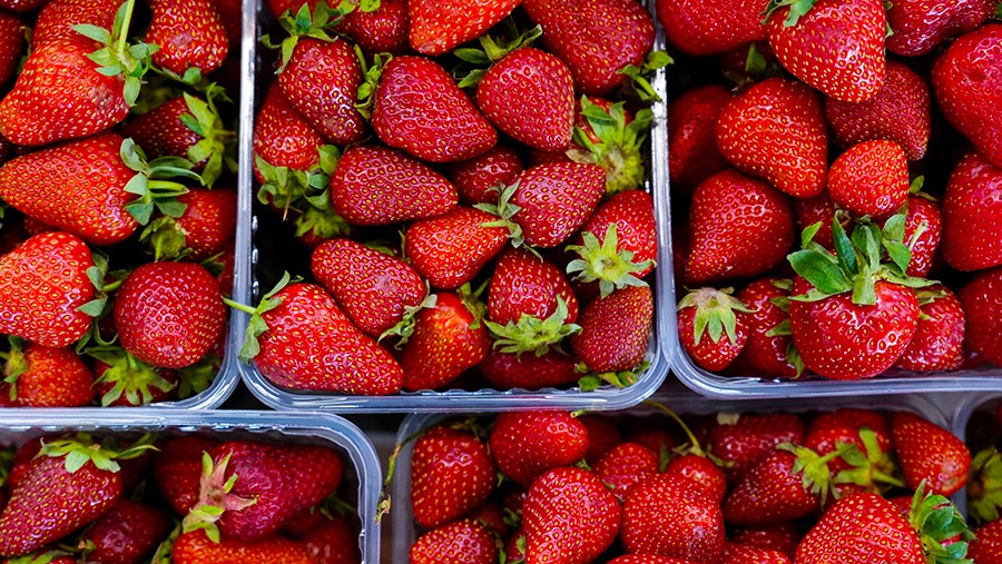 Врач назвал пять продуктов для здоровья суставов Врач назвал пять продуктов для здоровья суставов