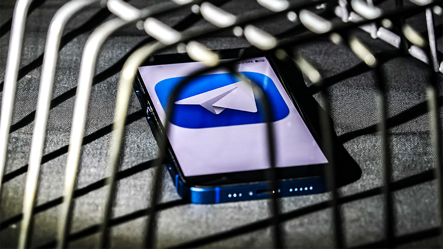 В МВД предупредили об использовании мошенниками Telegram-ботов для инвестиций
