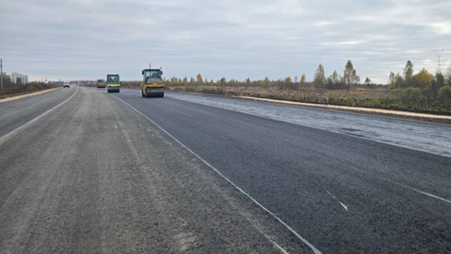 Дорогу к псковской деревне Хотицы перекроют на год из-за строительства моста
