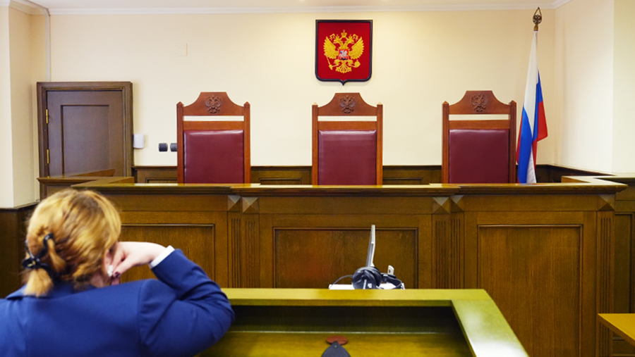 В Верховный суд поступила жалоба на приговор по делу о квартире Долиной В Верховный суд поступила жалоба на приговор по делу о квартире Долиной