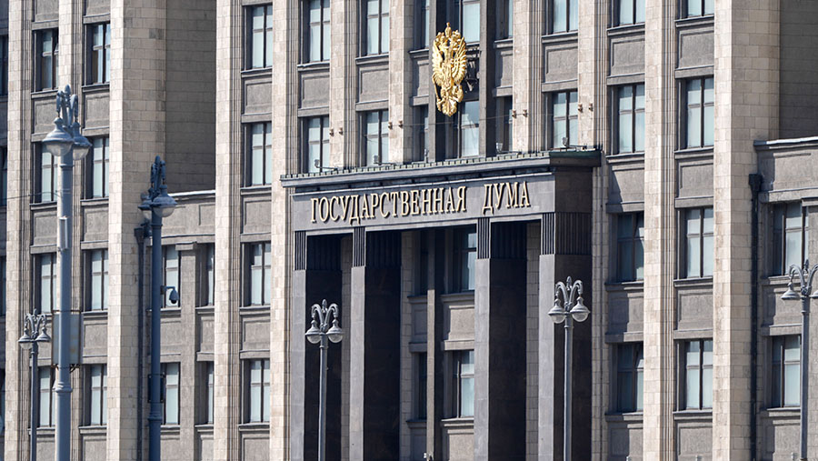 В ГД объяснили разницу в отношении Путина и Зеленского к конфликту на Украине